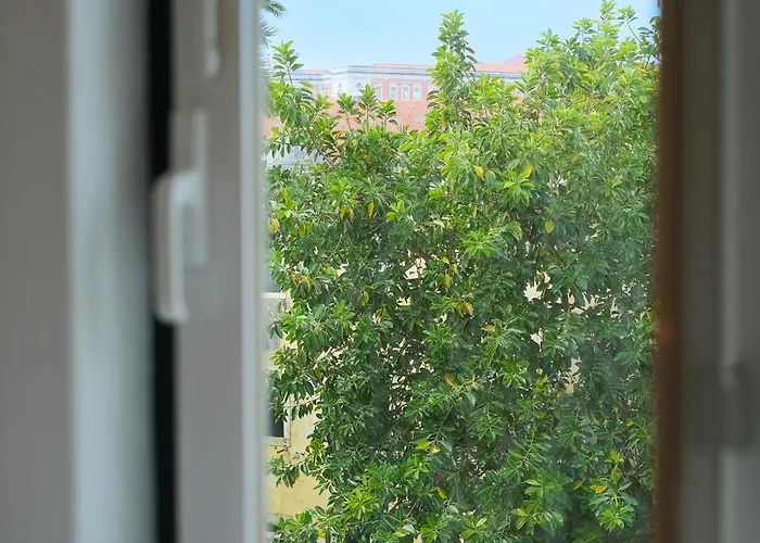 Bombarda ליסבון